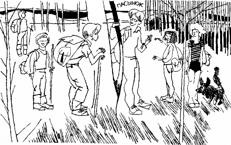 Дневник Толи Скворцова, путешественника и рыболова - i_003.png