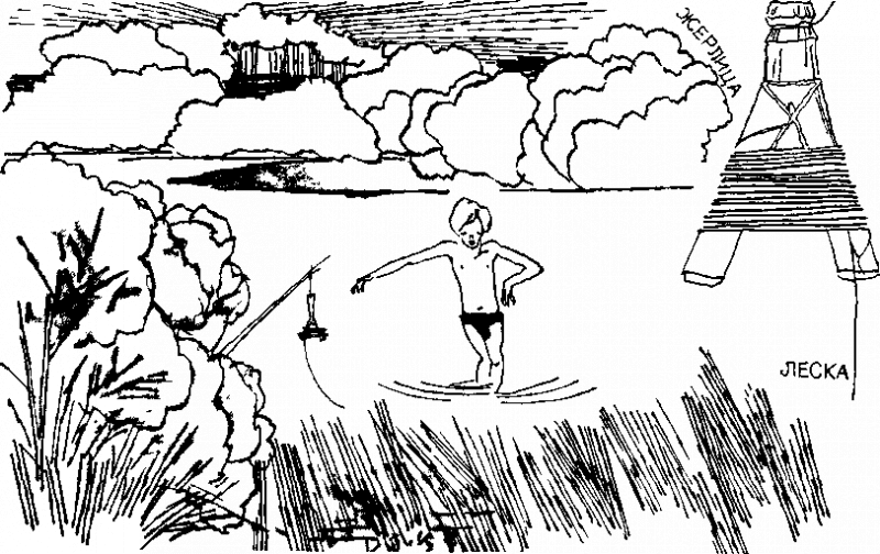 Дневник Толи Скворцова, путешественника и рыболова - i_010.png