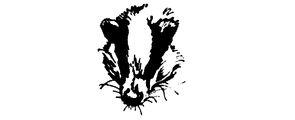 Кот-ворюга - i_009.png