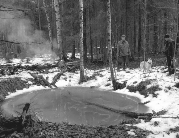 Советская авиация в боях над Красным Бором и Смердыней. Февраль-март 1943 - prokofjev_img_74.jpg