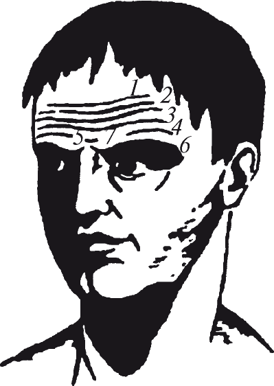 Как читать человека. Черты лица, жесты, позы, мимика - i_063.png