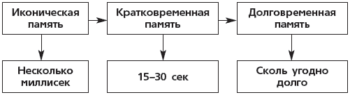 Как быстро развить память для запоминания иностранных слов, цифр и любой информации - i_002.png