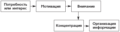 Как быстро развить память для запоминания иностранных слов, цифр и любой информации - i_004.png