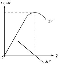 Экономика. Конспект лекций - i_018.jpg