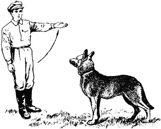 Техника дрессировки служебных собак - i_029.png