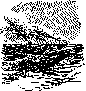 Стерегущий - Stereg16.png