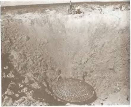 Истоки знания - pic_44.jpg