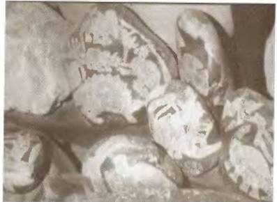 Истоки знания - pic_49.jpg