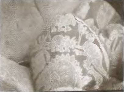 Истоки знания - pic_57.jpg