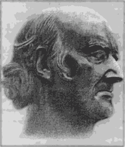 Путешествие болезни. Гомеопатическая концепция лечения и подавления - i_002.png