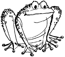 Планета чудес - i_024.png