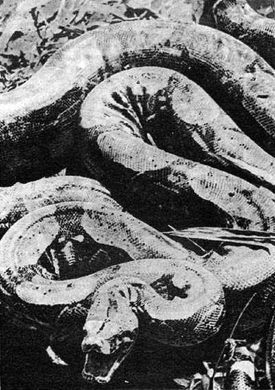 Планета чудес - i_068.jpg