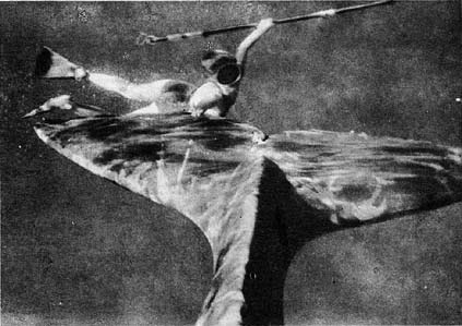 Планета чудес - i_070.jpg