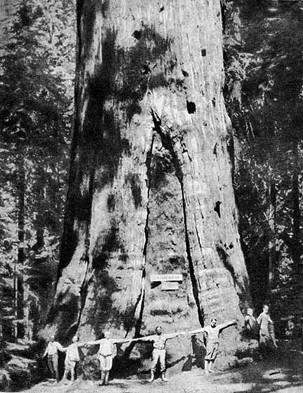 Планета чудес - i_071.jpg