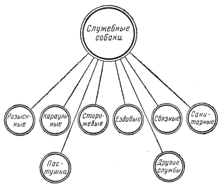 Служебная собака. Руководство по подготовке специалистов служебного собаководства - i_003.png
