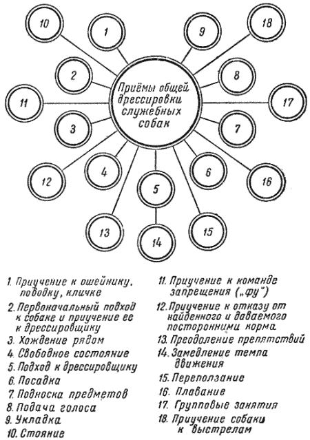 Служебная собака. Руководство по подготовке специалистов служебного собаководства - i_110.png