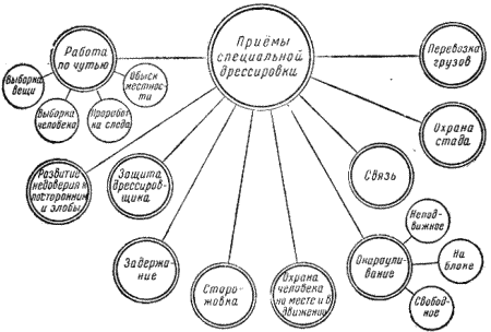 Служебная собака. Руководство по подготовке специалистов служебного собаководства - i_145.png