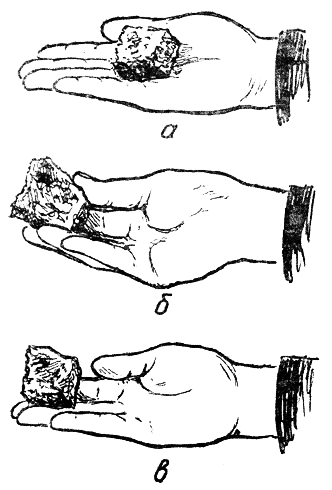 Содержание и дрессировка служебных собак - i_028.png