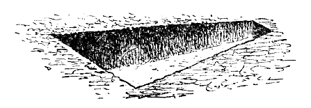 Содержание и дрессировка служебных собак - i_063.png