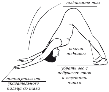 Дыхательная йога. Самые эффективные дыхательные упражнения - i_077.png