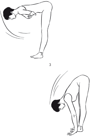 Йога и секреты долголетия - i_014.png