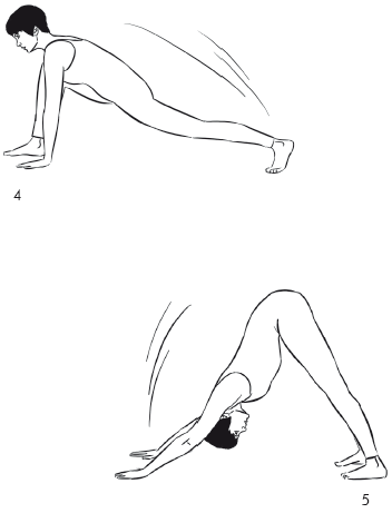 Йога и секреты долголетия - i_015.png