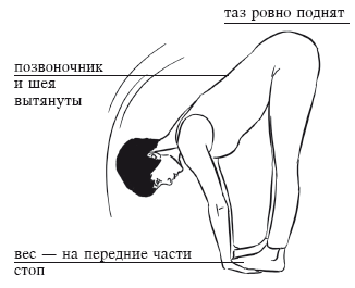 Йога и секреты долголетия - i_074.png
