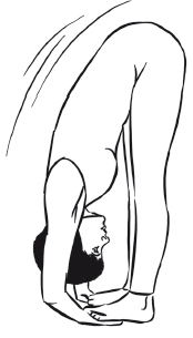 Йога и секреты долголетия - i_075.png