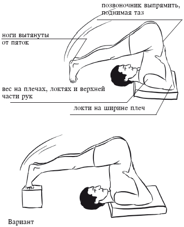 Йога и секреты долголетия - i_080.png