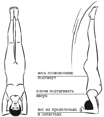 Йога и секреты долголетия - i_092.png