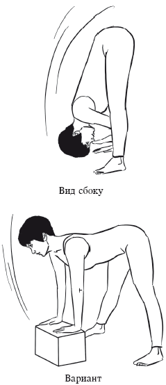 Йога и секреты долголетия - i_128.png