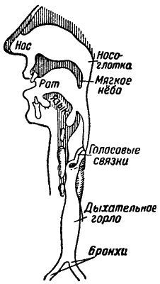 Звук и слух - i_005.png