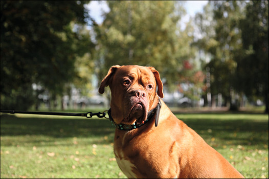 Я такой как все - i_097.jpg