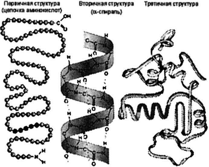 «… я восхищаюсь делами рук Твоих» - img_13.jpeg