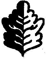 Северная магия: мистерии германских народов - pic_110.png