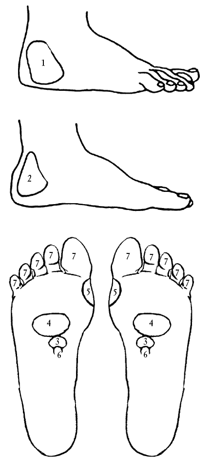 Сексуальное здоровье мужчины и женщины. Эффективные методы лечения и профилактика заболеваний - i_001.png