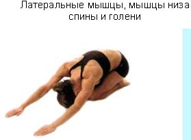 Революция мышц - _39.jpg