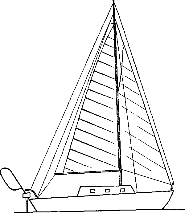 В одиночку через океан. Сто лет одиночного мореплавания - i_039.png