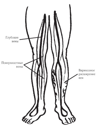 Варикозное расширение вен. Лечение и профилактика традиционными и нетрадиционными методами - i_005.jpg