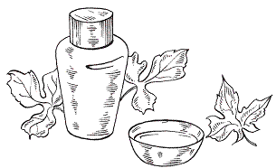 Лучшие банные рецепты для молодости и красоты. Для всех видов бань, саун и ванн - pic_28.png