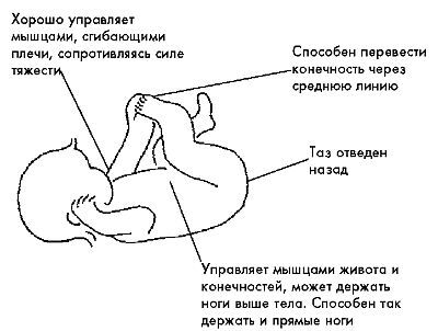 Ребенок с церебральным параличом. Помощь, уход, развитие. Книга для родителей - i_028.jpg