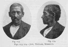 Евреи: исследование расы и окружающей среды (избранные главы) - i_062.jpg