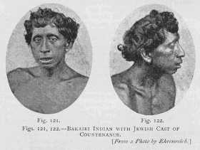 Евреи: исследование расы и окружающей среды (избранные главы) - i_065.jpg