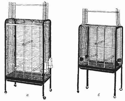Малый желтохохлый какаду - i_004.jpg