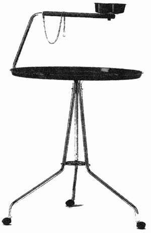 Малый желтохохлый какаду - i_005.jpg