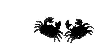 Взгляд кролика - i_045.png