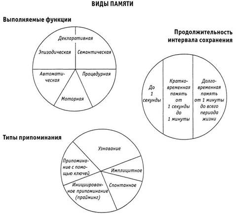 Психология критического мышления - pic_5.jpg