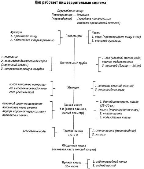 Психология критического мышления - pic_18.jpg