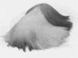 Анималотерапия. Домашние животные и наше здоровье - i_032.jpg