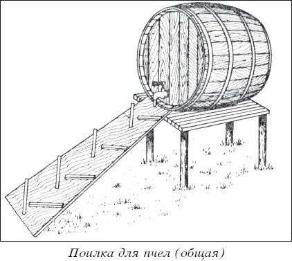 Мед и продукты пчеловодства - i_018.jpg